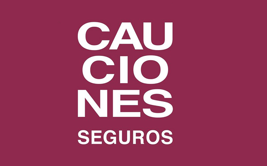 Cauciones Seguros